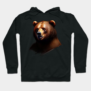 Bear portrait Hoodie